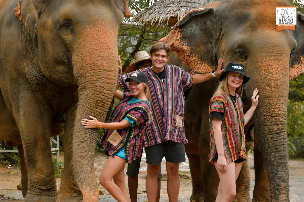 Elephant Package gallery image 2