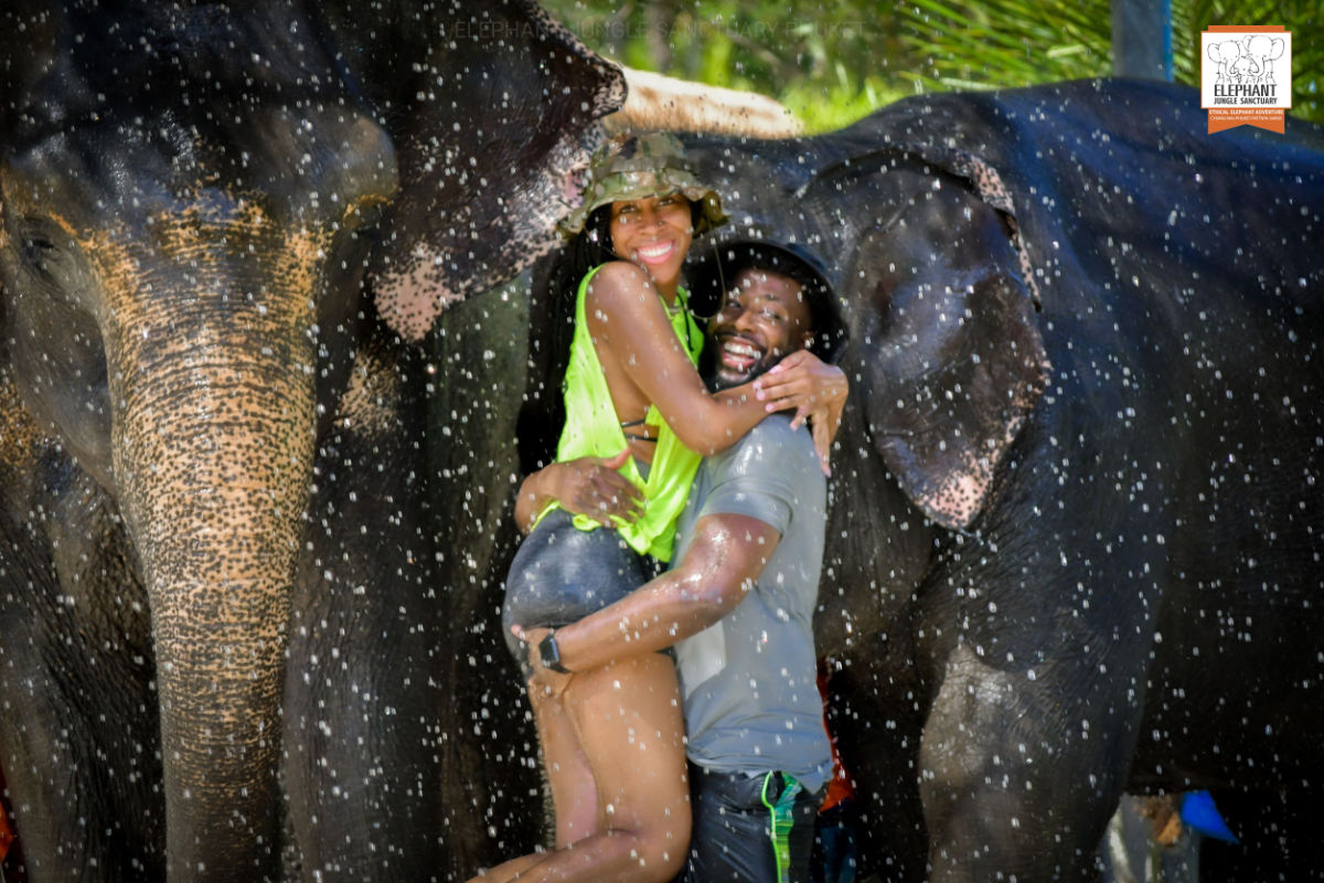 Feed & Shower with Elephants Experience